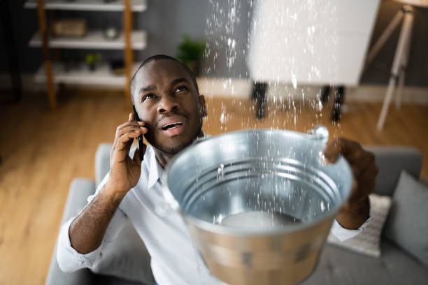 Best Residential water damage restoration  in Sterling Ranch, CO