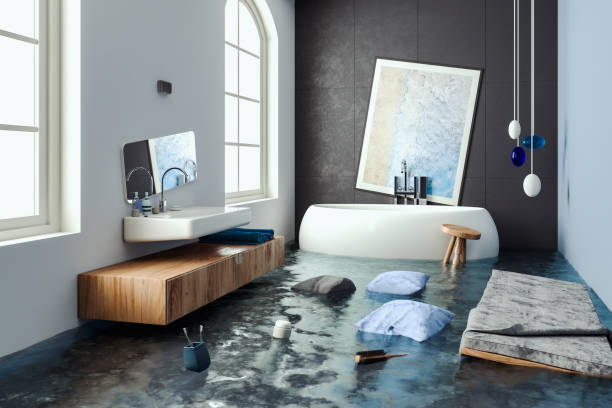 Best Local water damage restoration  in Sterling Ranch, CO