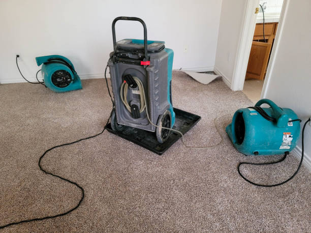 Best Professional water damage repair  in Sterling Ranch, CO