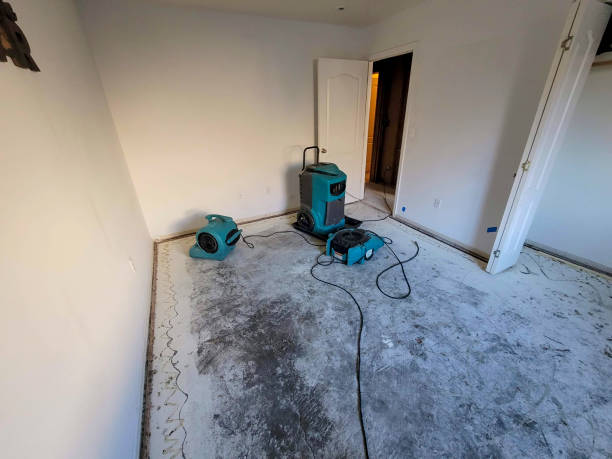  Sterling Ranch, CO Water damage restoration Pros