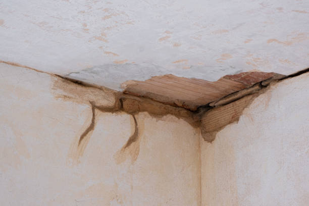 Reliable CO Water damage restoration Solutions