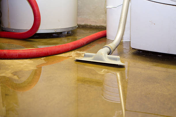 Best Water damage restoration near me  in Sterling Ranch, CO
