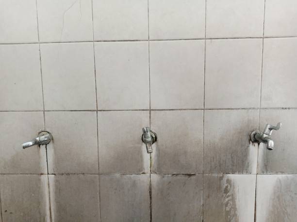 Best Water damage restoration process  in Sterling Ranch, CO