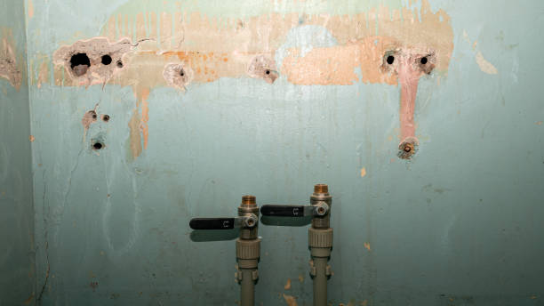 Best Water damage cleanup near me  in Sterling Ranch, CO