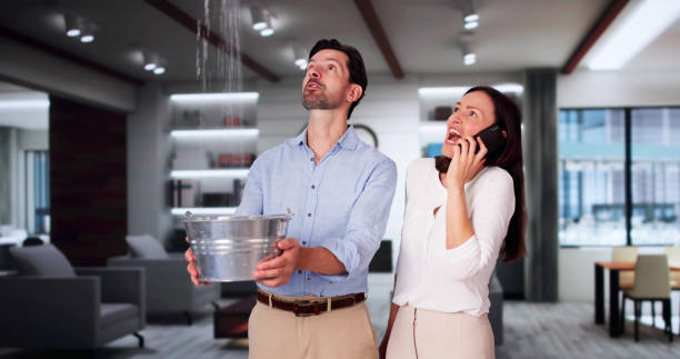 Best Water damage restoration services  in Sterling Ranch, CO