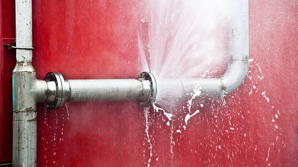 Best Mold removal after water damage  in Sterling Ranch, CO